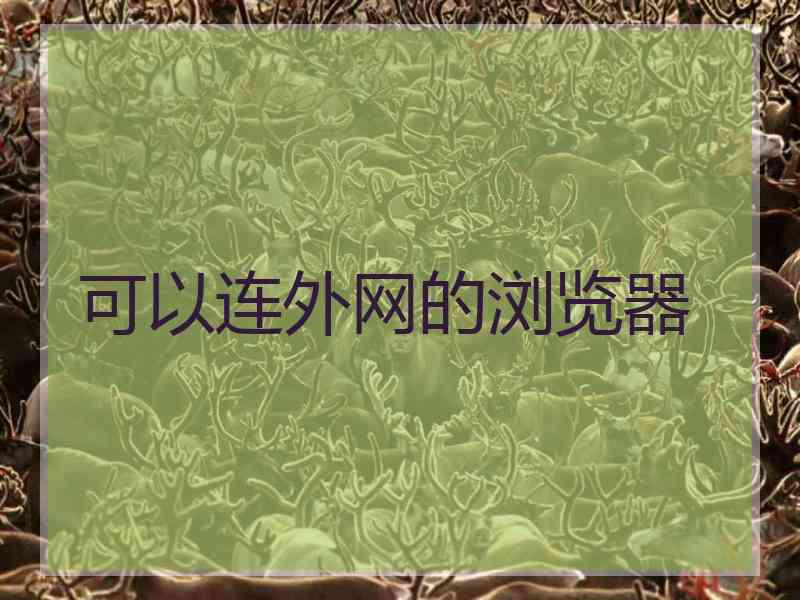 可以连外网的浏览器
