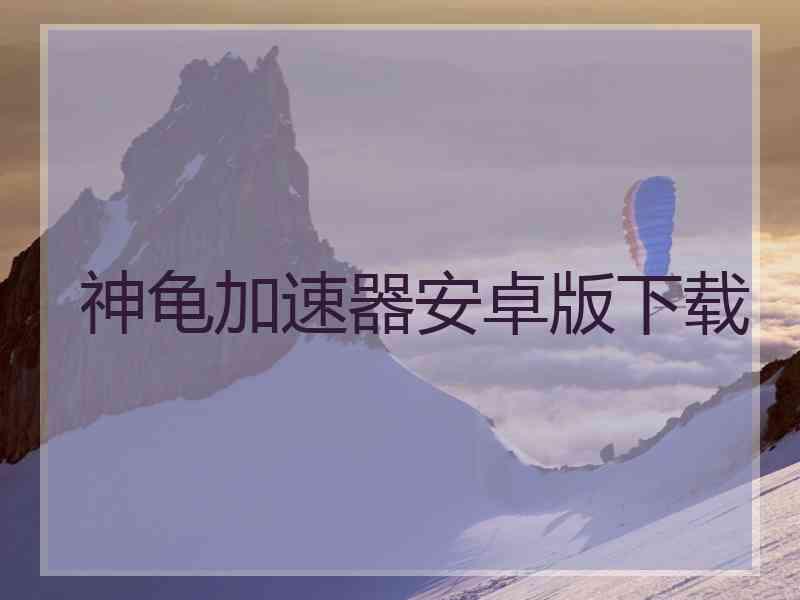 神龟加速器安卓版下载