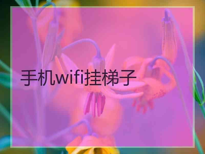 手机wifi挂梯子