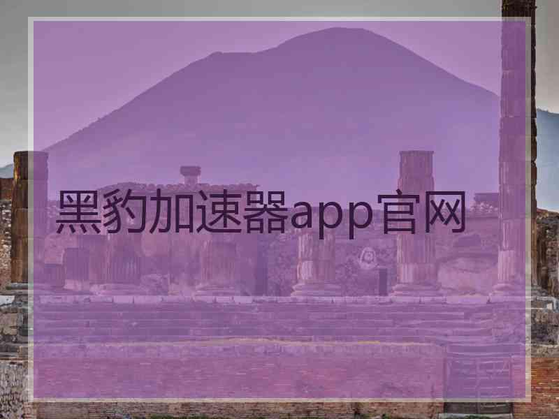 黑豹加速器app官网