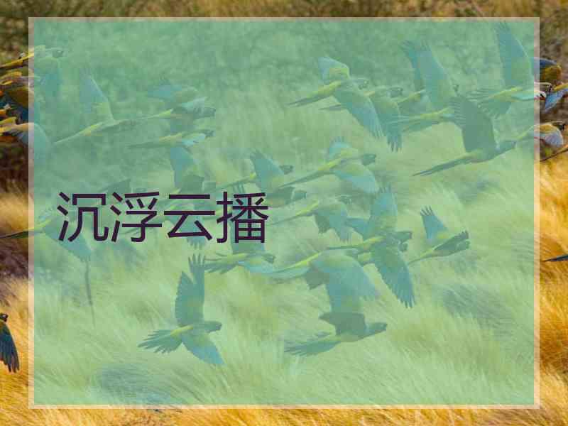 沉浮云播