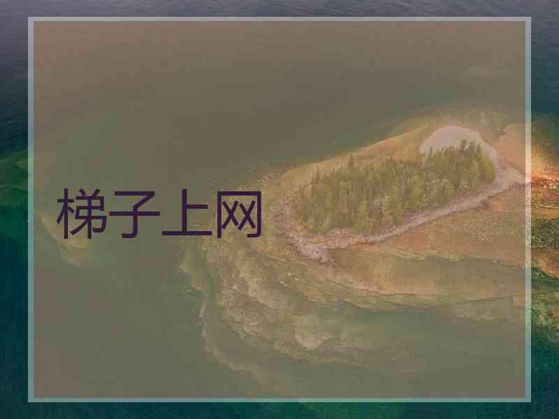 梯子上网