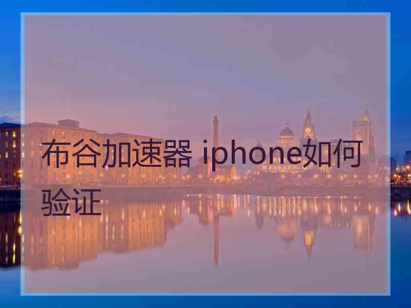 布谷加速器 iphone如何验证