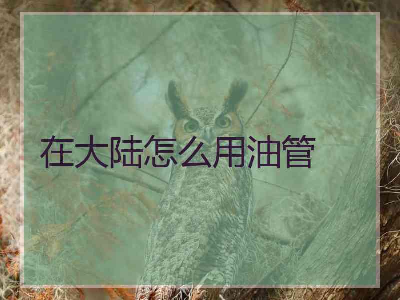 在大陆怎么用油管