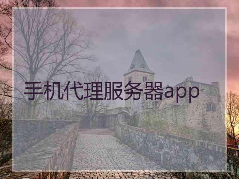 手机代理服务器app