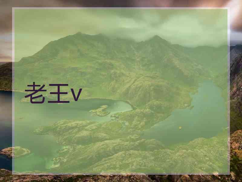 老王v