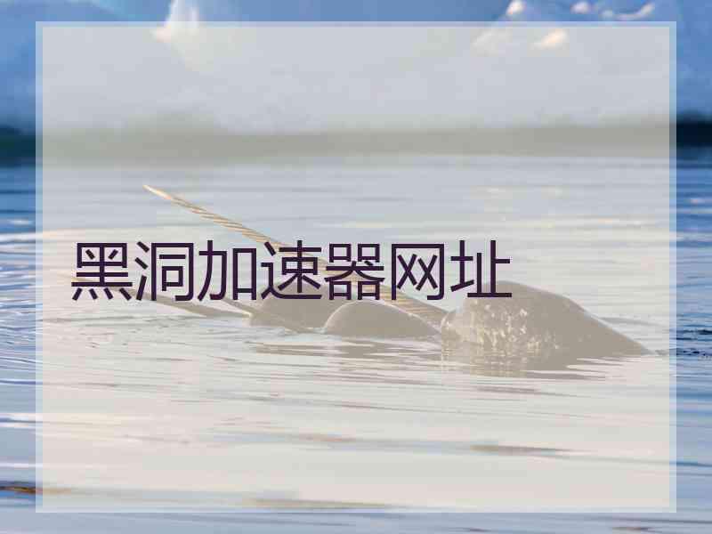 黑洞加速器网址