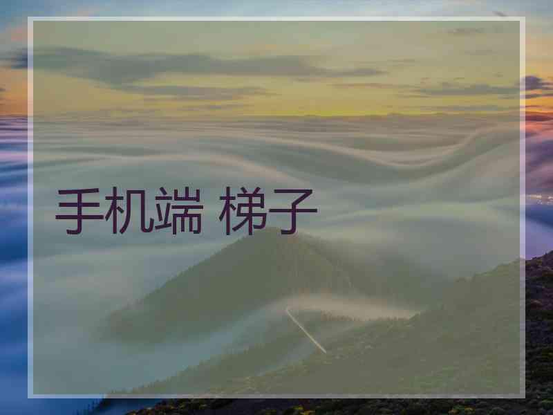 手机端 梯子