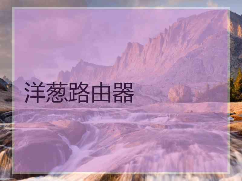 洋葱路由器
