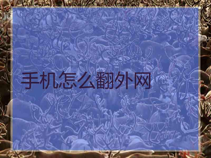 手机怎么翻外网