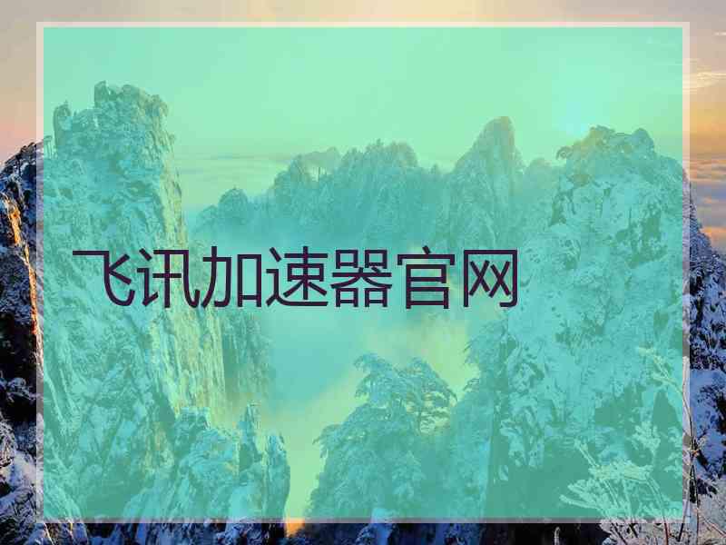 飞讯加速器官网