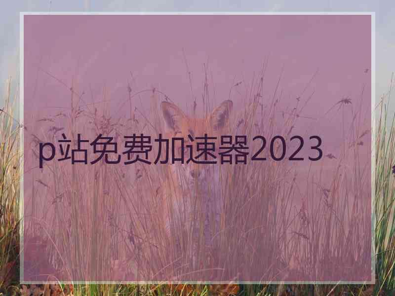 p站免费加速器2023