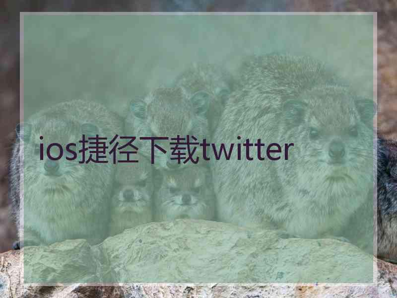 ios捷径下载twitter