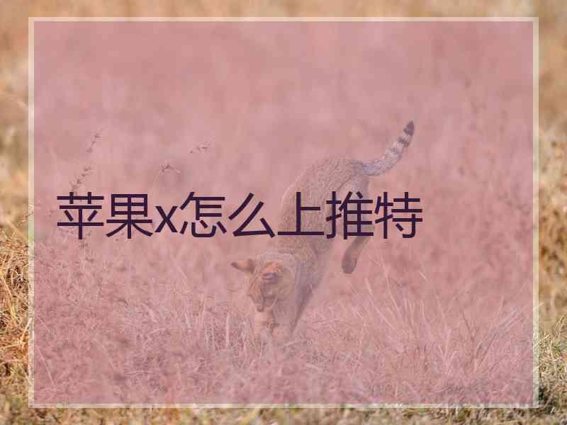 苹果x怎么上推特