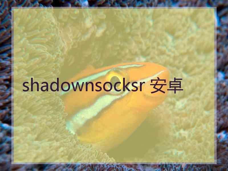 shadownsocksr 安卓