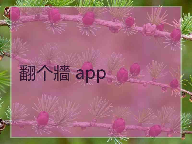 翻个牆 app