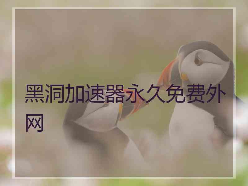 黑洞加速器永久免费外网