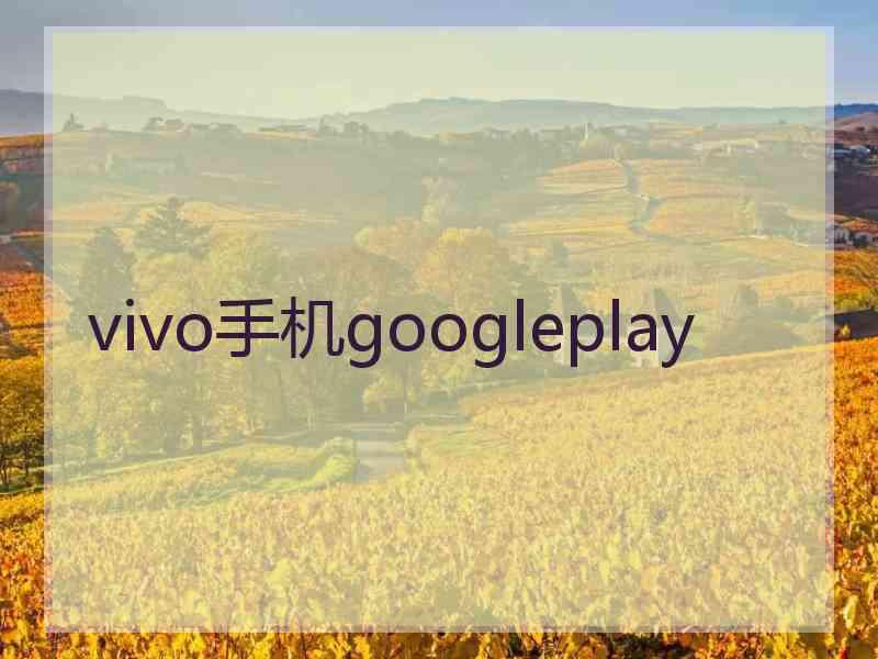 vivo手机googleplay