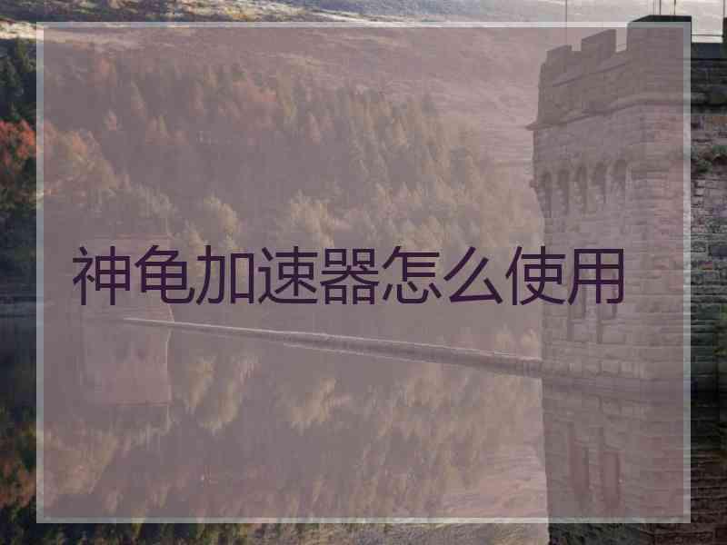 神龟加速器怎么使用