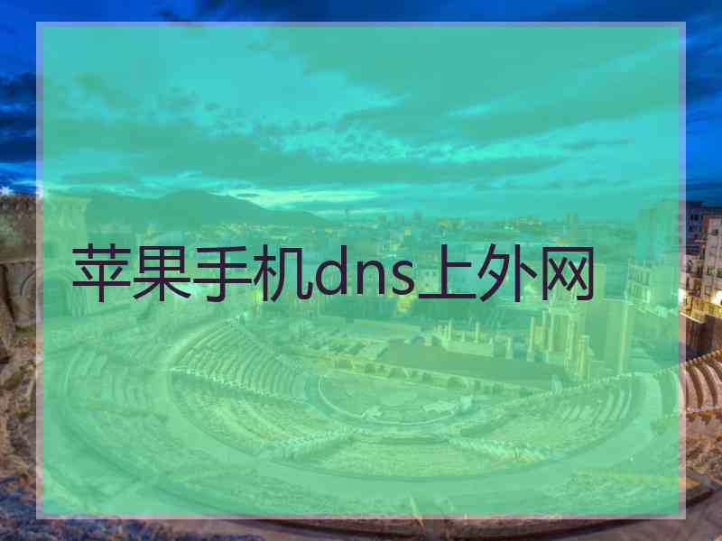 苹果手机dns上外网