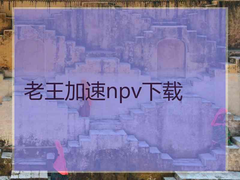 老王加速npv下载