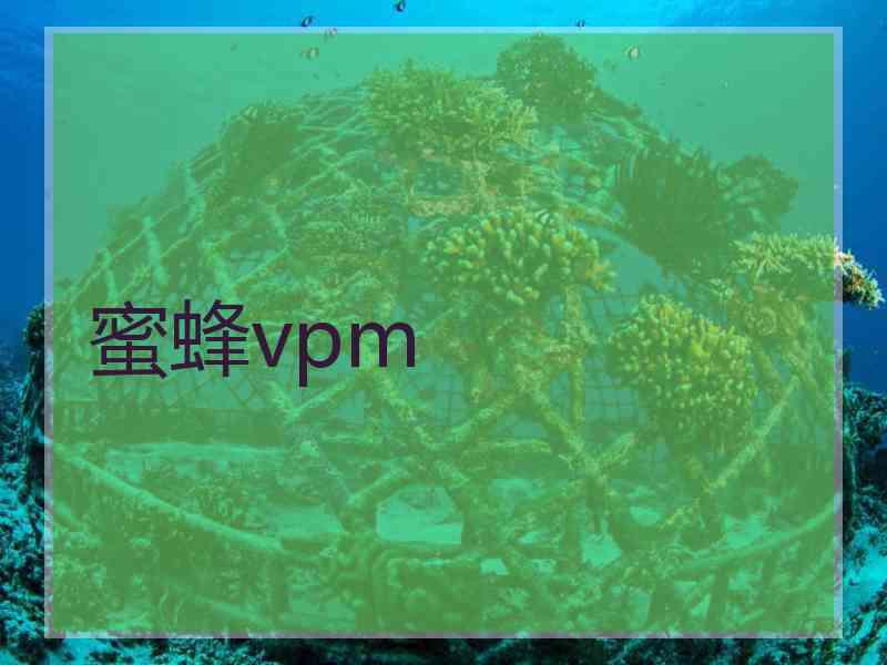 蜜蜂vpm