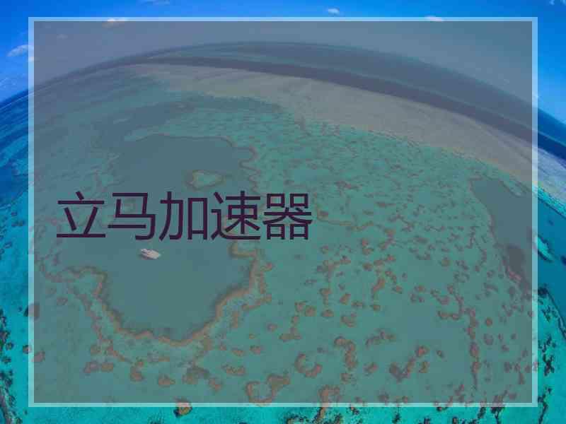 立马加速器