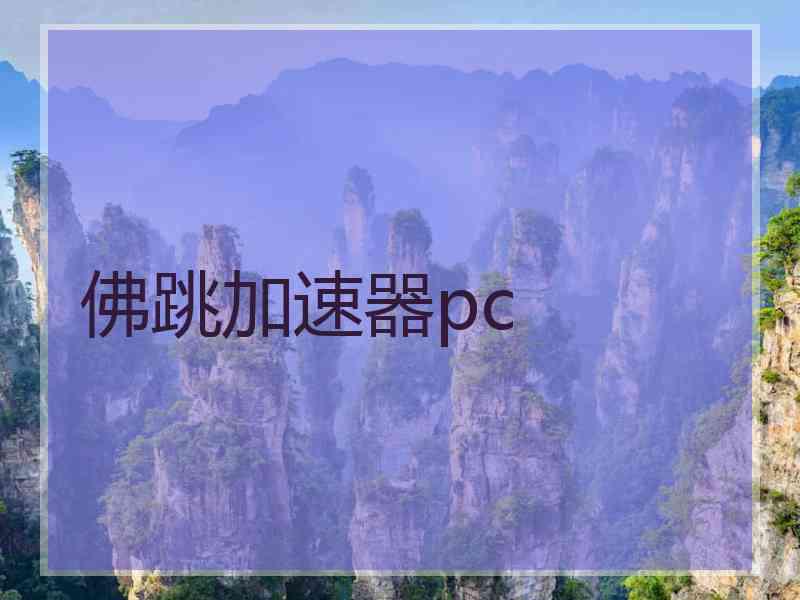 佛跳加速器pc