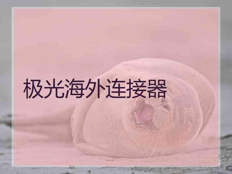 极光海外连接器