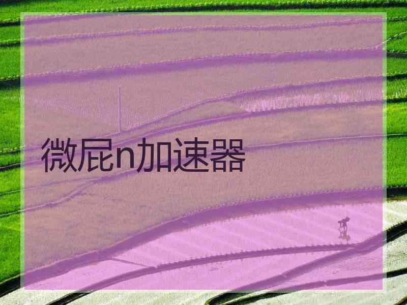 微屁n加速器
