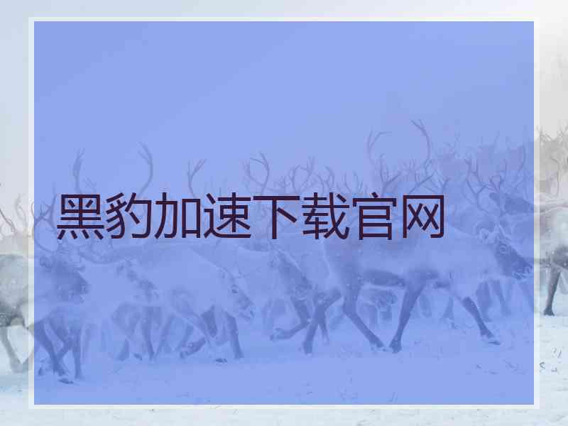 黑豹加速下载官网
