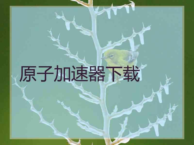 原子加速器下载