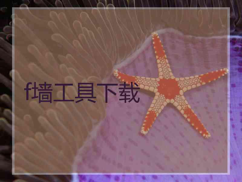 f墙工具下载