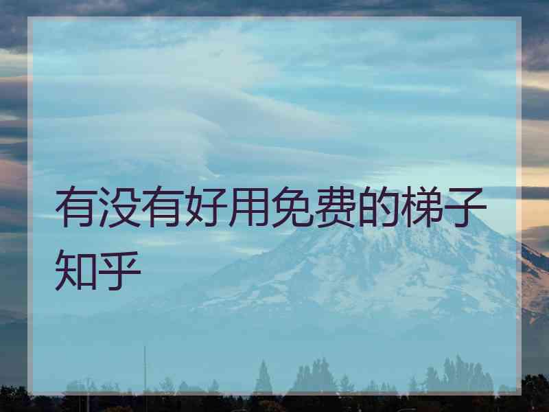 有没有好用免费的梯子 知乎