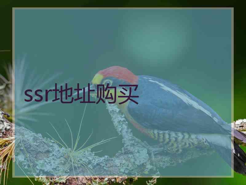 ssr地址购买