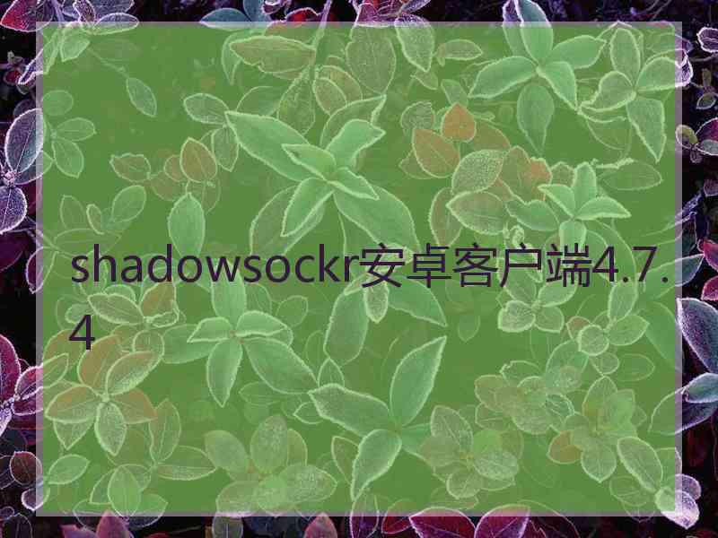 shadowsockr安卓客户端4.7.4