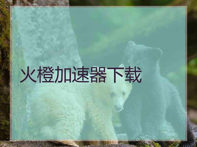 火橙加速器下载
