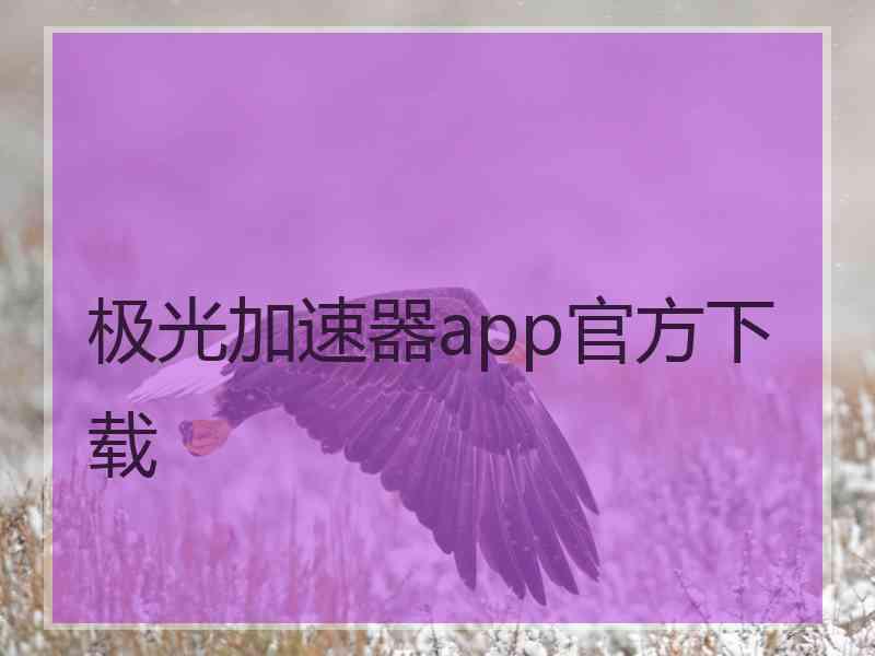 极光加速器app官方下载