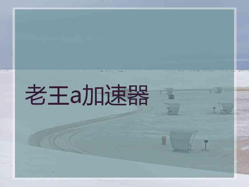 老王a加速器