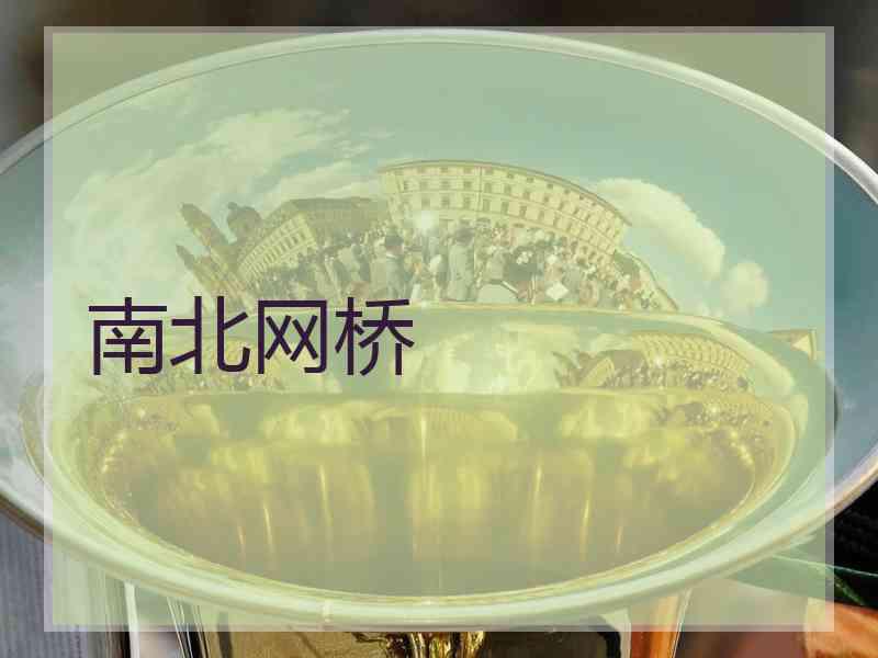 南北网桥