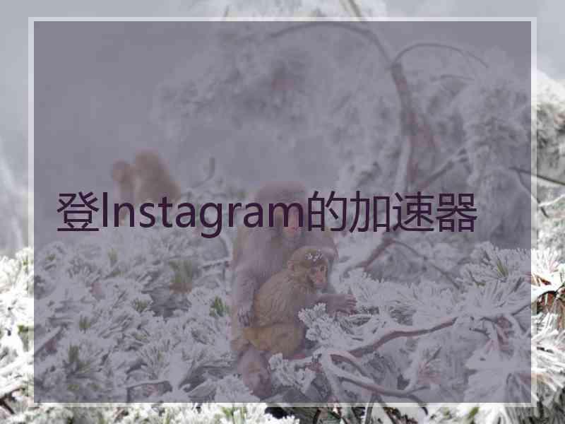 登lnstagram的加速器