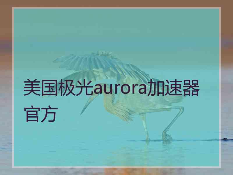 美国极光aurora加速器官方