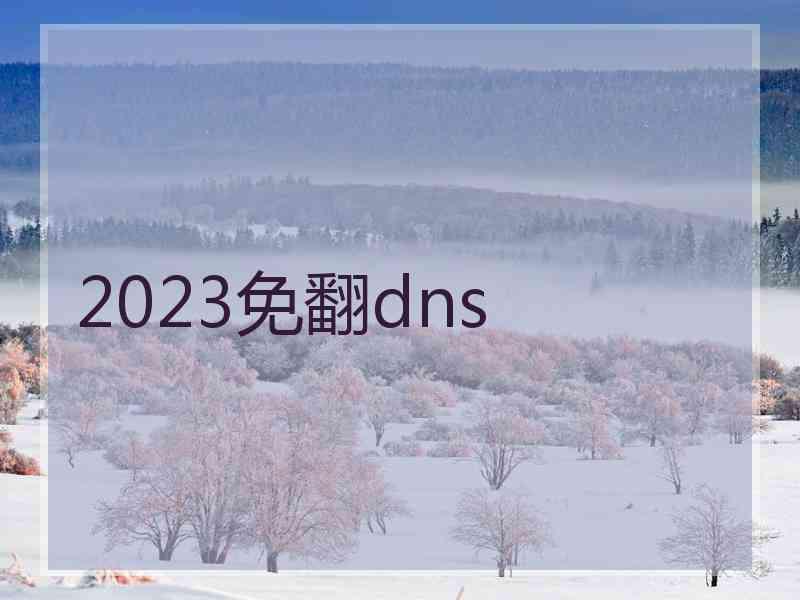 2023免翻dns