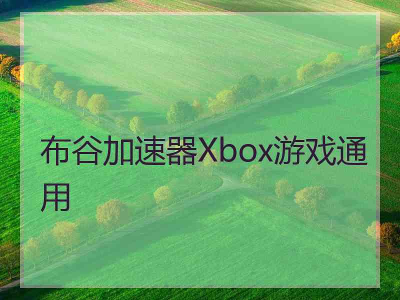 布谷加速器Xbox游戏通用
