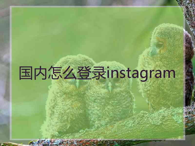 国内怎么登录instagram