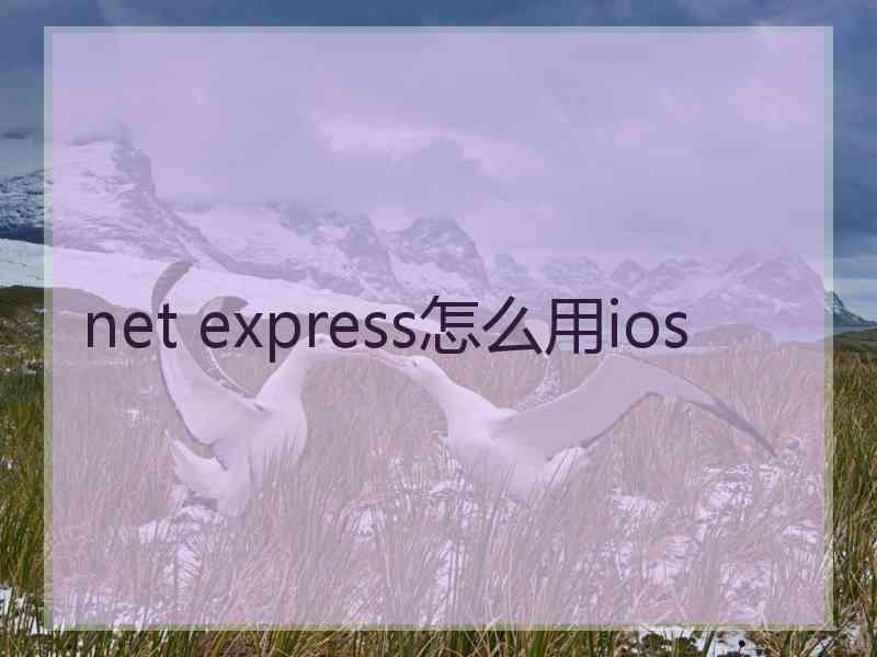 net express怎么用ios