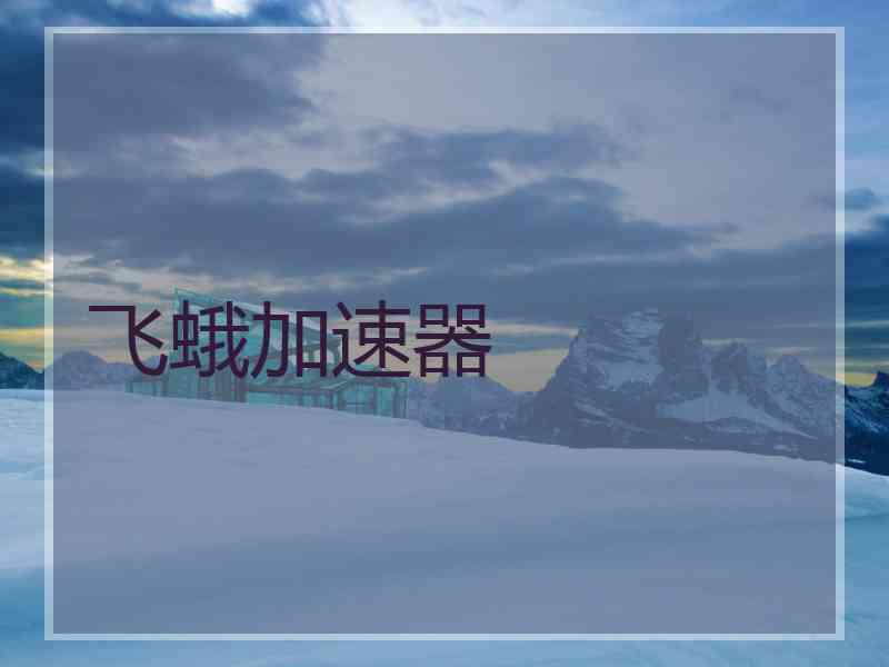 飞蛾加速器