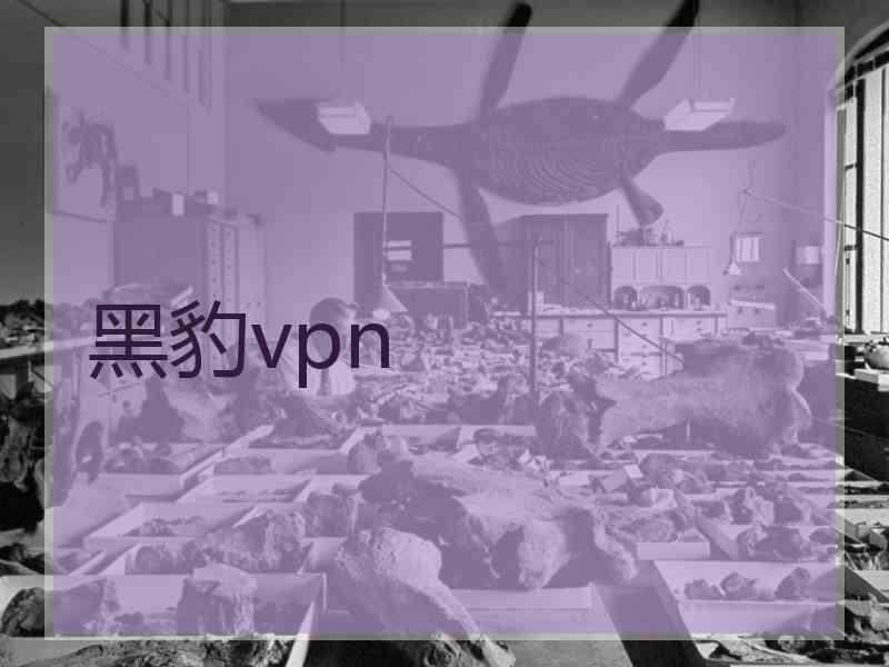 黑豹vpn