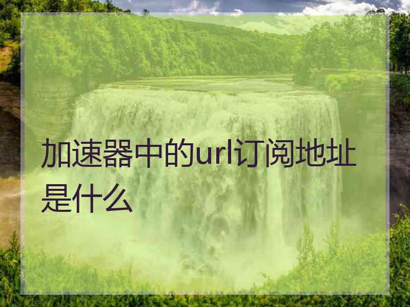 加速器中的url订阅地址是什么