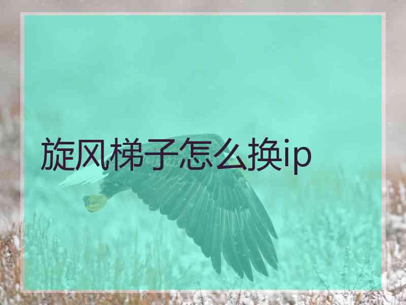 旋风梯子怎么换ip